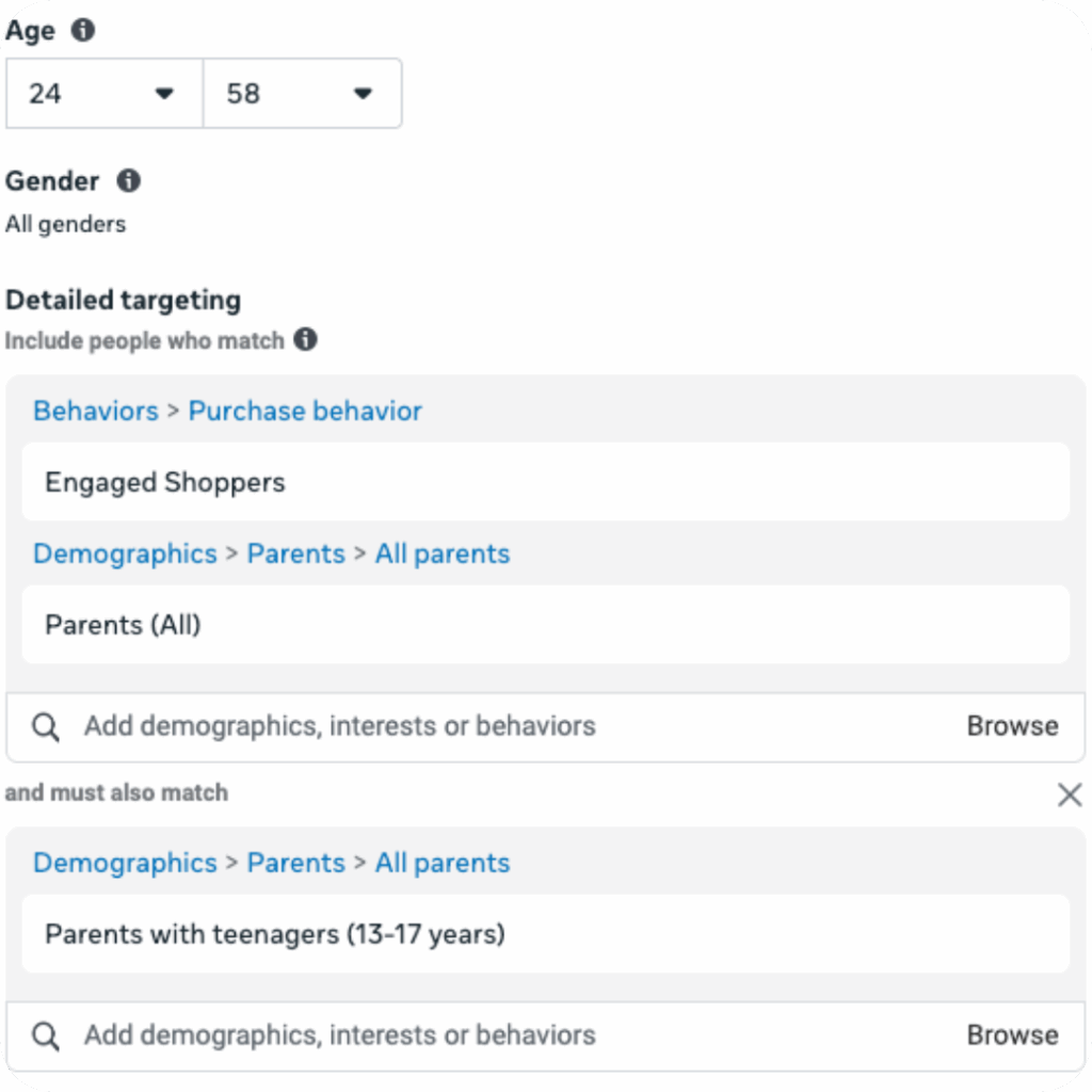 Example of audience targeting with Meta Ads